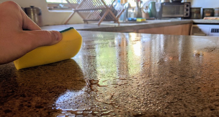 sponge - we were pretty disappointed with the absorption of the treenewbid...