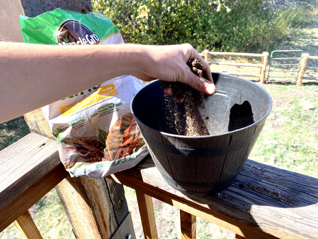 planter - the whiskey barrel pot is best suited for casual outdoor spaces.