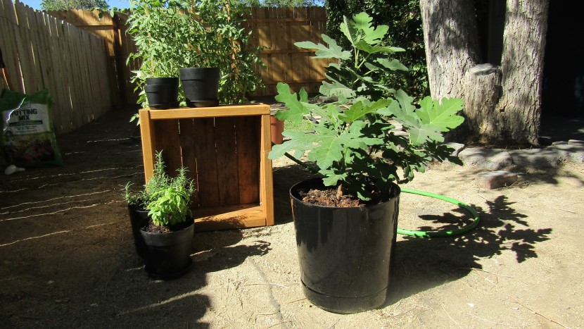 the novelty full depth round garden pot is one of the largest pots...