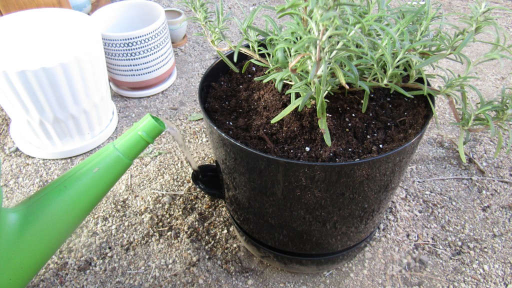 garden pot - the hbservices 8-inch pot has an easy-to-use self-watering feature.