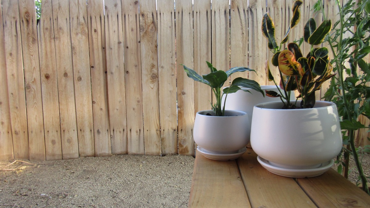 6 inch Plant Pot, Plant Pot with Drainage Hole, 6 inch Terracotta Planter,  Flower Planter, Face Planter, Indoor Succulent Pot w/ Saucer