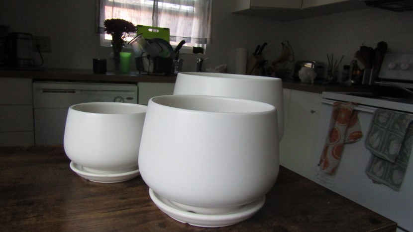 garden pot - the le tauci plant pots come with three different size pots for...