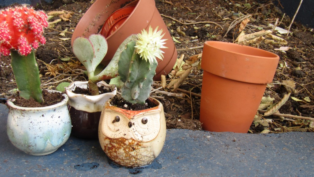 garden pot - the small succulent pots were difficult to plant due to their size...