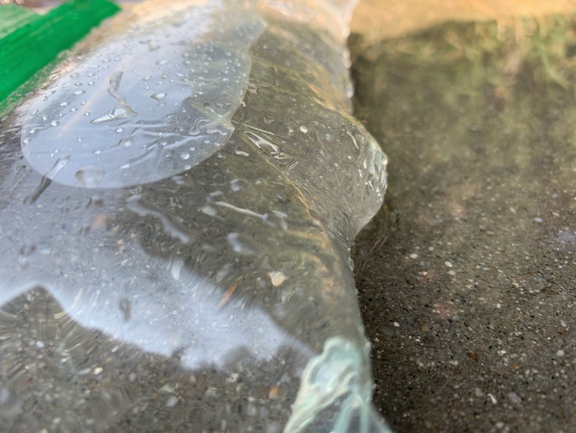 food storage bags - the solimo sandwich bag deforming but not bursting during our drop...