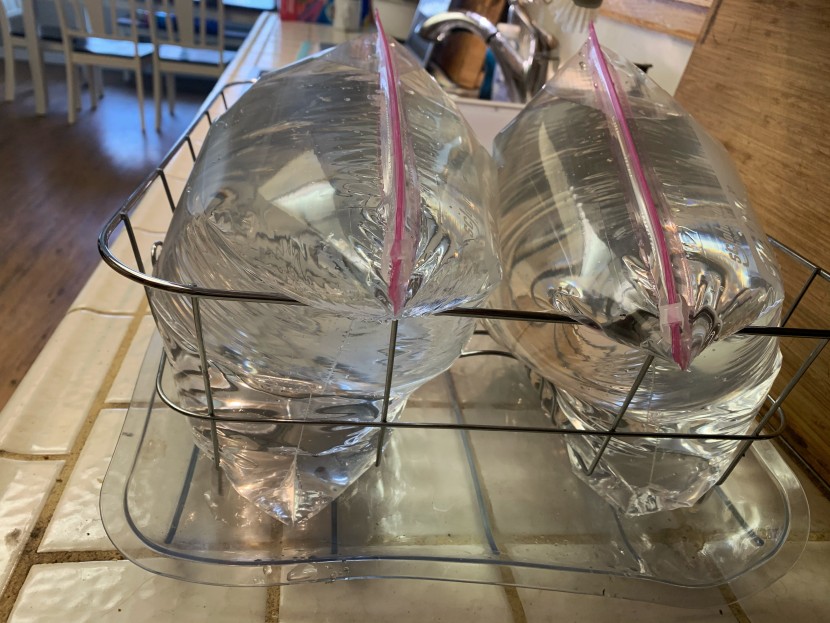 food storage bags - two ziploc sliders, sealed up and ready for more testing.