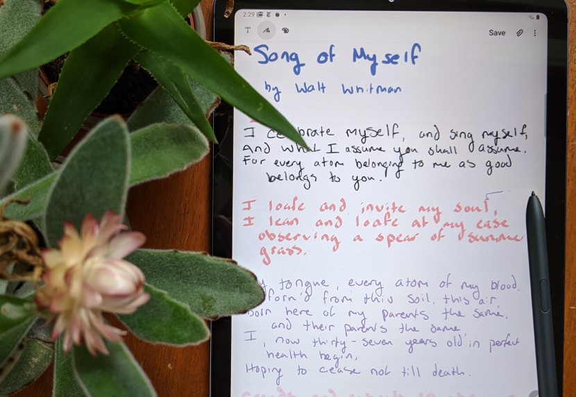 digital pen - the s pen&#039;s palm rejection can feel a little finicky, but it still...