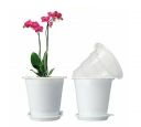 Best for Orchids and Bulbs