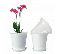 Best for Orchids and Bulbs