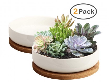 Lead photo for Our Least Favorite