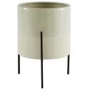 Best for Large Plants