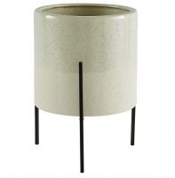 Best for Large Plants