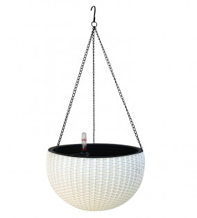 Lead photo for Best Hanging Basket