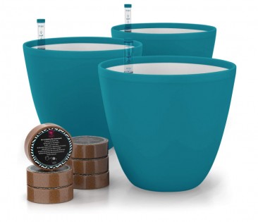 Lead photo for Best Self-Watering Flower Pot