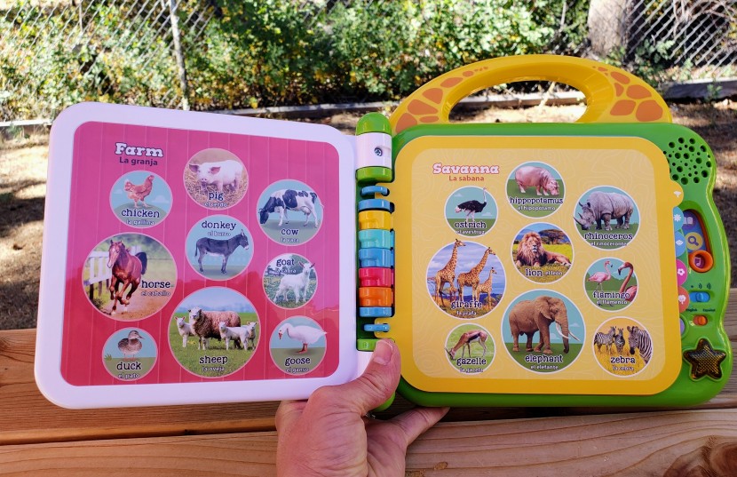 kids electronics - the leapfrog 100 is easy to use - just pick it up and start pressing...