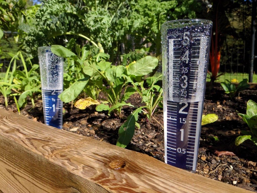 rain gauge - it&#039;s not a bad idea to buy two gauges to double-check your accuracy.