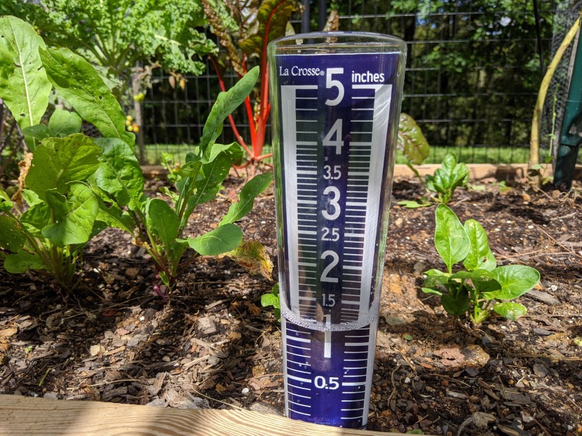 rain gauge - we love how simple it is to place these spike gauges. they are also...