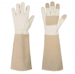 Lead photo for Best Leather Gardening Gloves