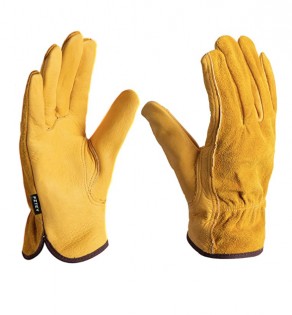 Lead photo for Best Protective Glove