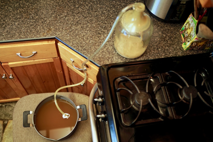home brewing kit - transferring one gallon of beer is easier and faster than...