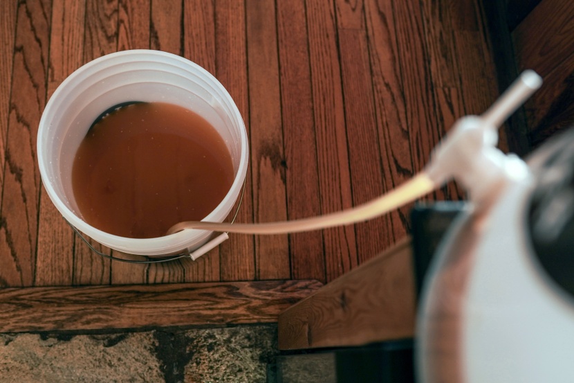 transferring five gallons of beer to be bottled during testing.