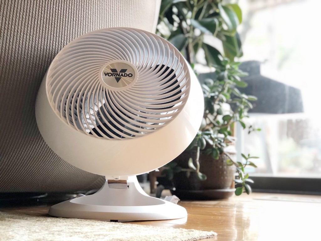 Best small floor store fans