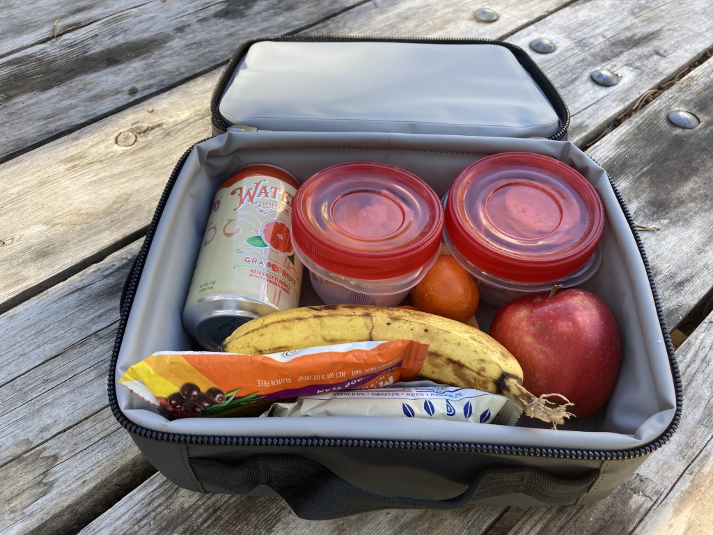 Use an Insulated Lunch Bag to Keep Meals Safe