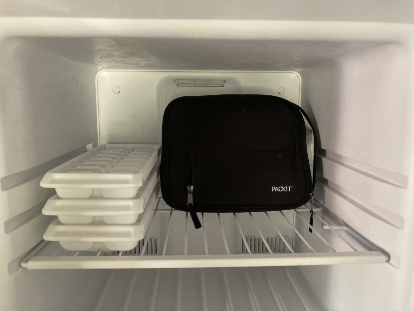 lunch box - the packit freezable has incredible temperature control.
