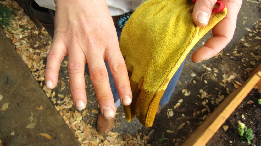 gardening gloves - the ozero leather work gloves stained our hands yellow.