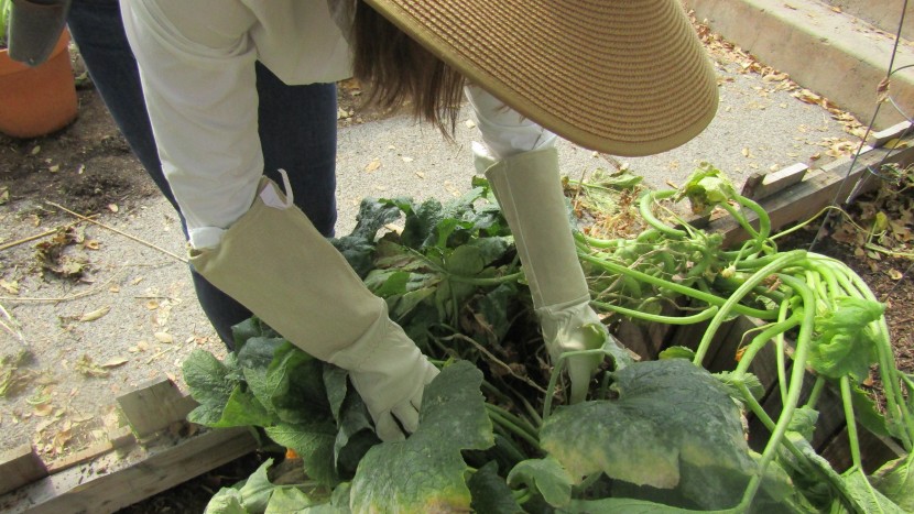 gardening gloves - the handylandy pruning gloves have a protective sleeve to help keep...