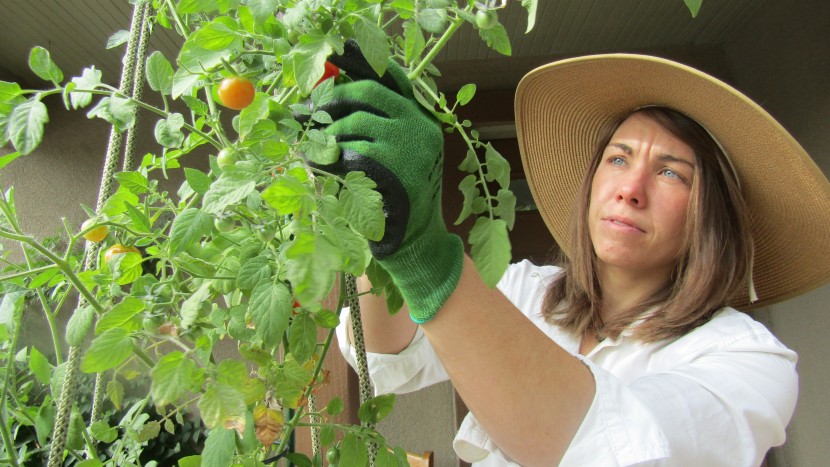 gardening gloves - the pine tree tools bamboo gloves have a rubber-like protective...