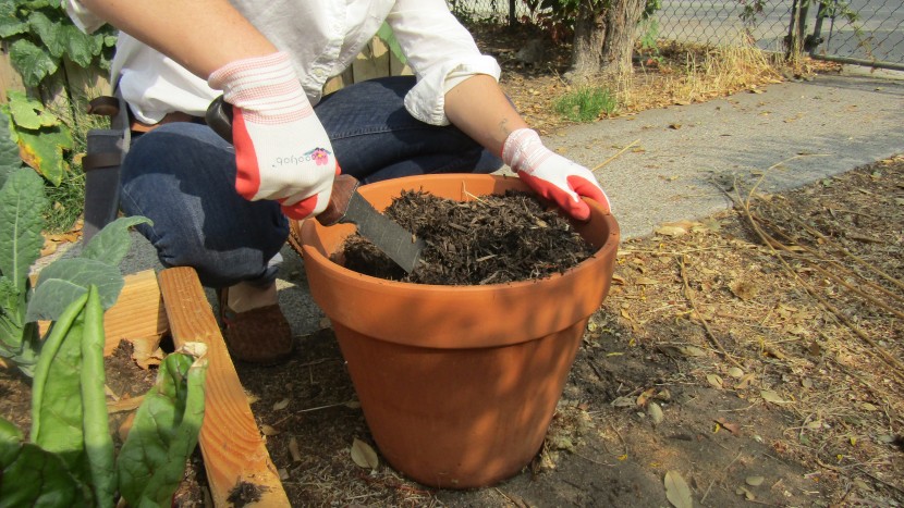 gardening gloves - the cooljob gloves have a comfortable all-day fit.