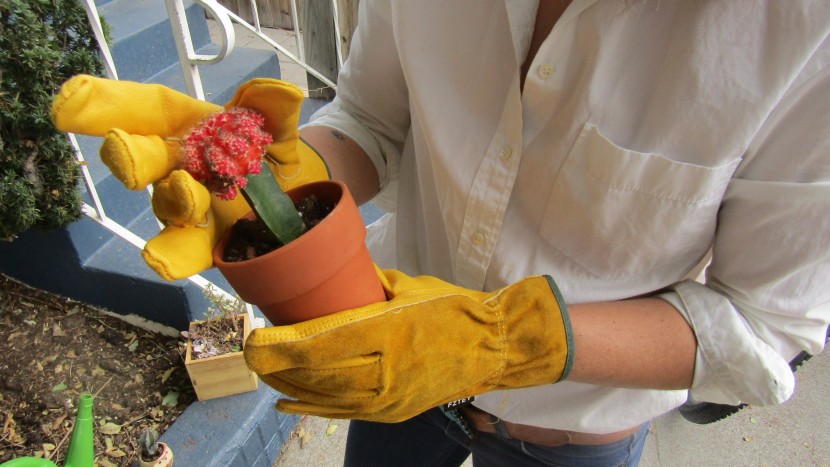 gardening gloves - the fztey thorn proof gloves provide good protection against thorns...