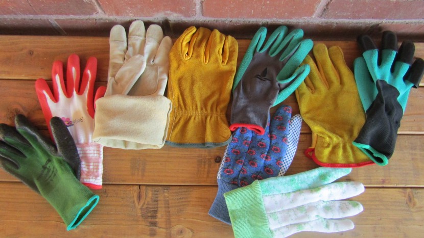 gardening gloves - we found the most important factors in choosing a gardening glove...