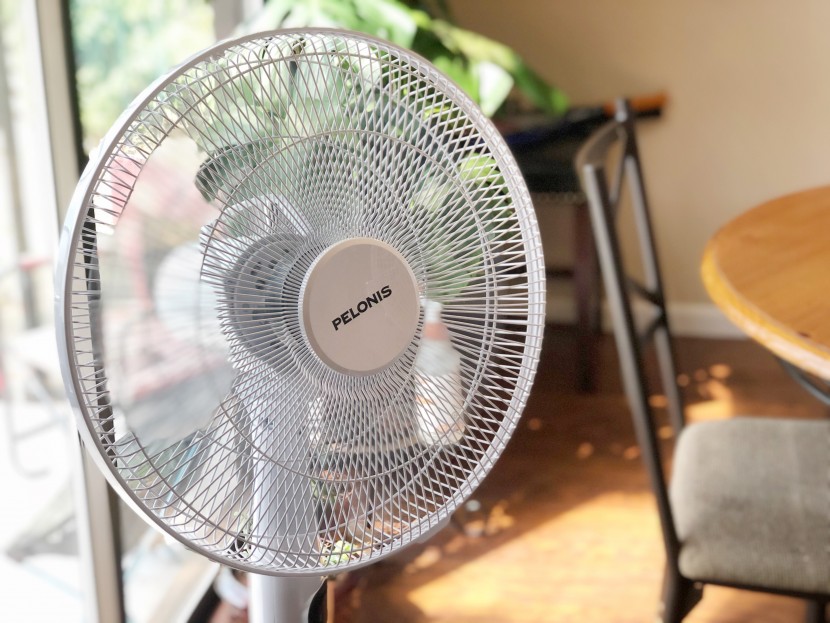 fan - the noise levels of the pelonis silent turbo are nearly undetectable.