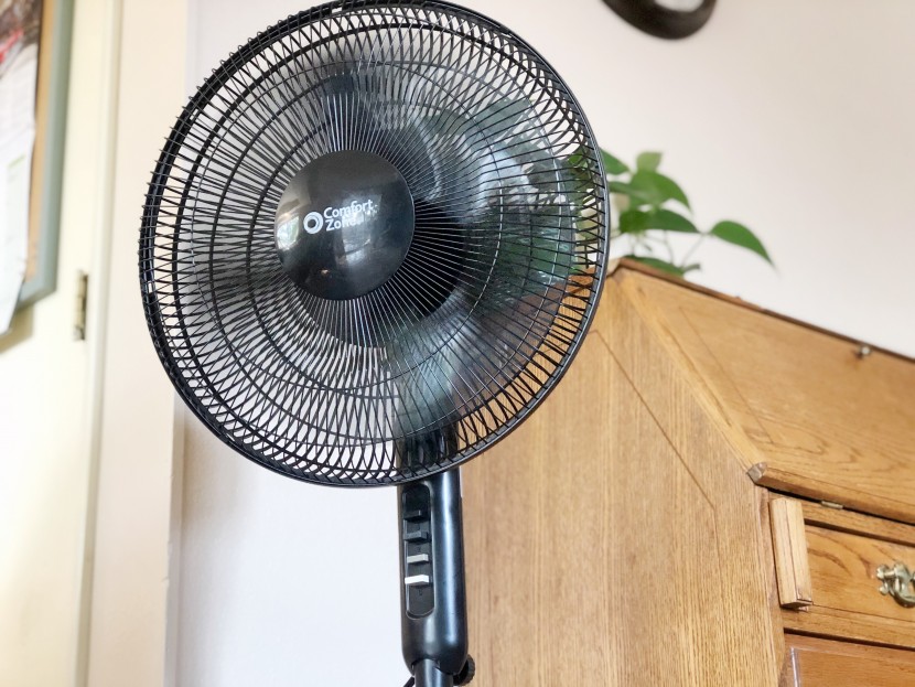 pedestal fan - though it&#039;s quite basic in this line-up, the comfort zone 3-speed...