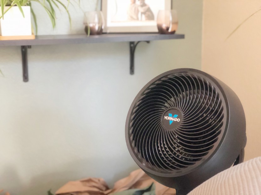 pedestal fan - despite its small size, the vornado packs some serious power into...