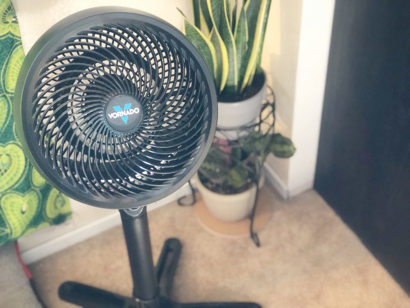 pedestal fan - the vornado 683 is both small and short, making it a better fit when...