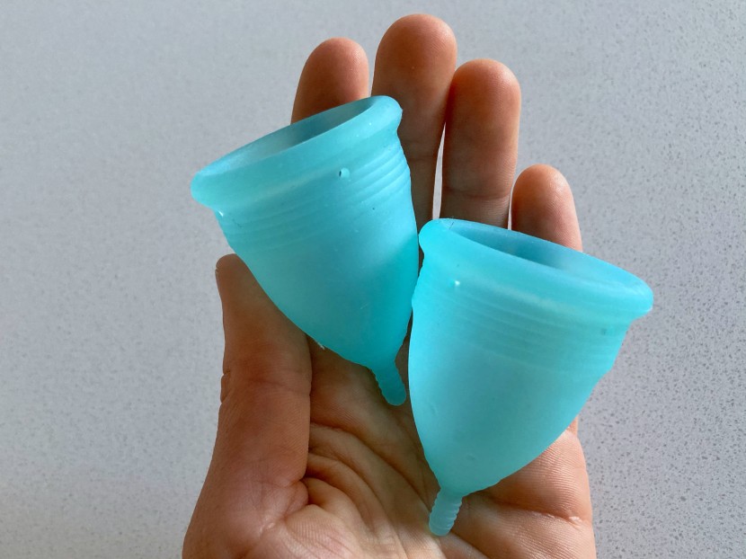 menstrual cup - we couldn&#039;t find a difference between these two cups, except that...