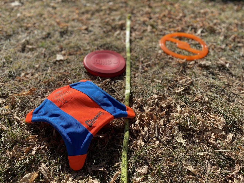 dog frisbee - we measured distance by paces of one person, then measured the...