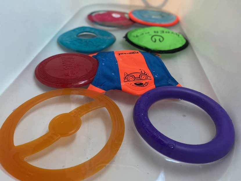 dog frisbee - we used a bathtub to float-test. note the kong classic floating...