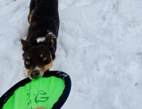 Best Bang for Your Buck