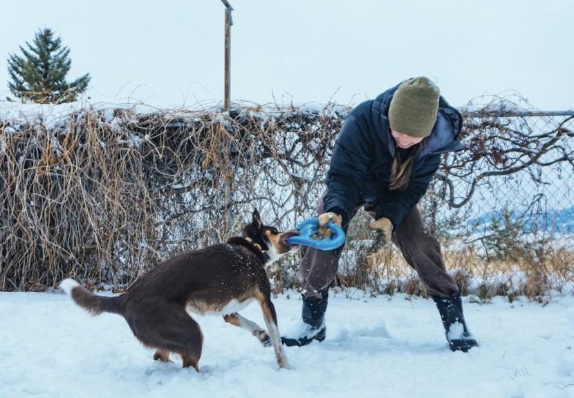 dog frisbee - peitu and hannah testing with tug.