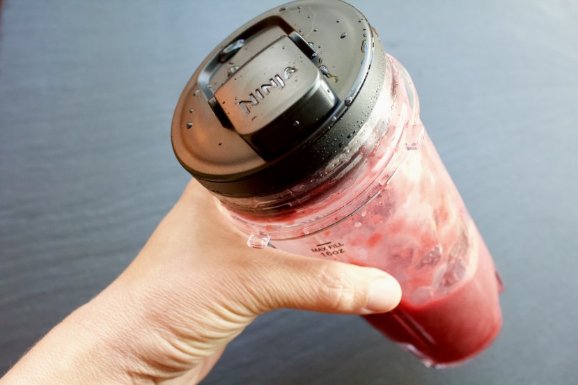 bullet blender - we examined the quality of every lid and checked for leaks.