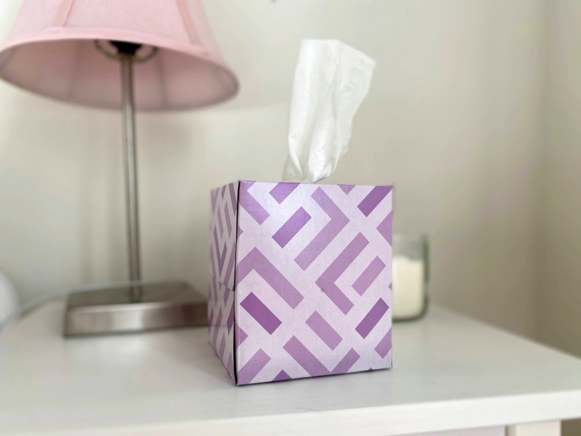 facial tissue - this tissue is a great option to have at your bedside.