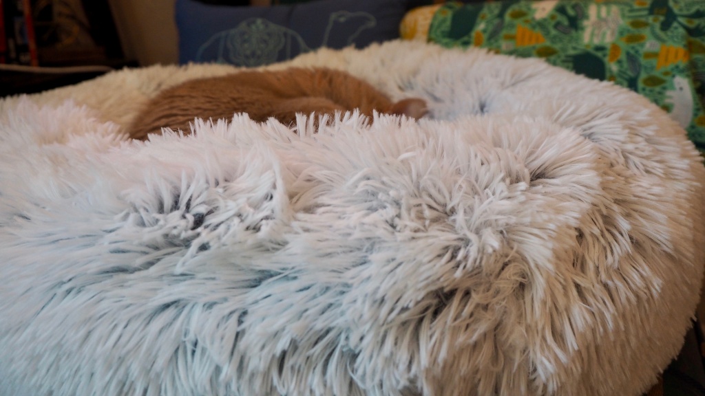 cat bed - the best friends by sheri calming donut also got lots of attention...