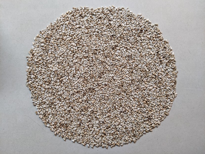 the wagner safflower seeds seem flawless.