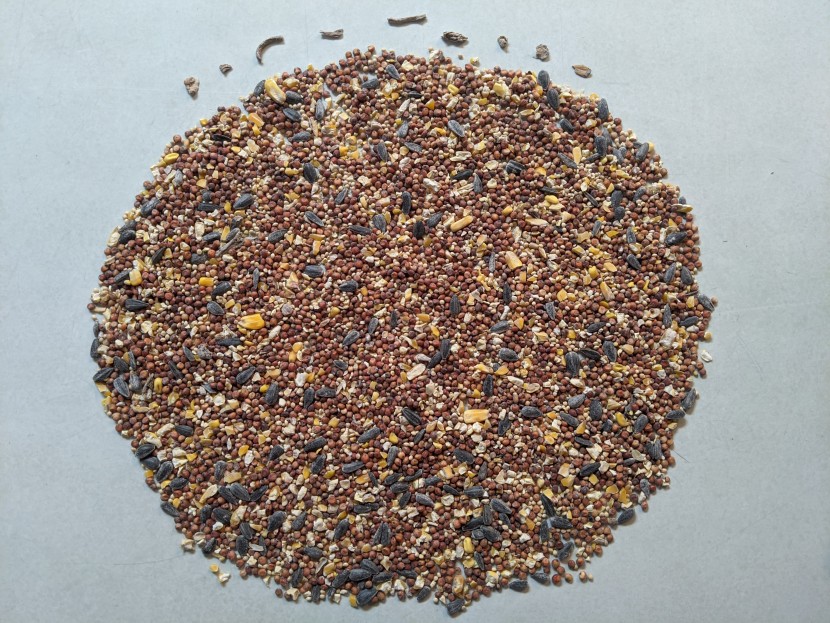 red milo seeds dominate wagner's classic blend. then there are some...