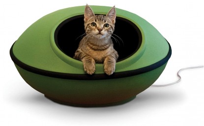 Lead photo for Best Overall Cat Bed