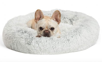 Lead photo for Best Uncovered Cat Bed