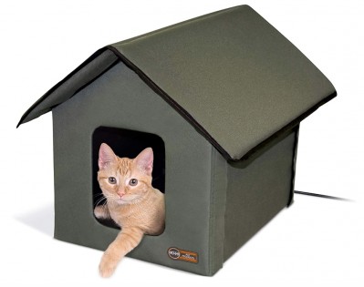 Lead photo for Best for Outdoor Cats